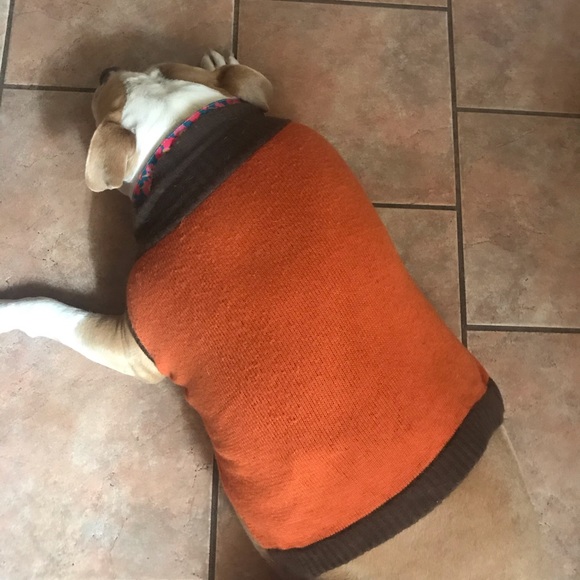 Dog sweater - Picture 3 of 6